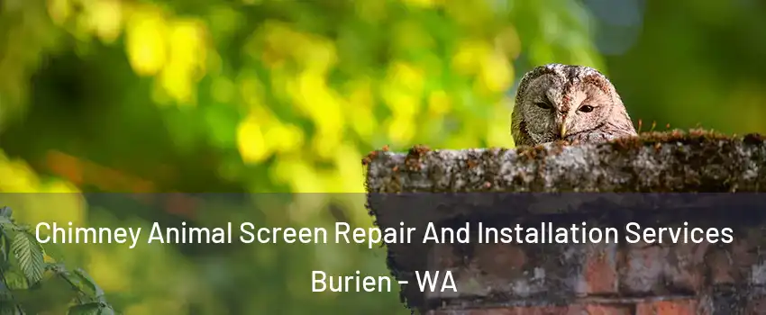  Chimney Animal Screen Repair And Installation Services Burien - WA