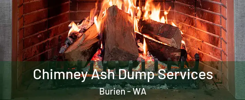  Chimney Ash Dump Services Burien - WA