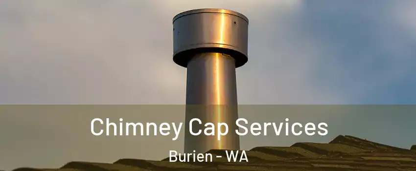  Chimney Cap Services Burien - WA
