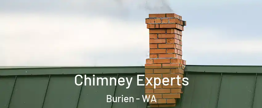 Chimney Experts Burien - WA