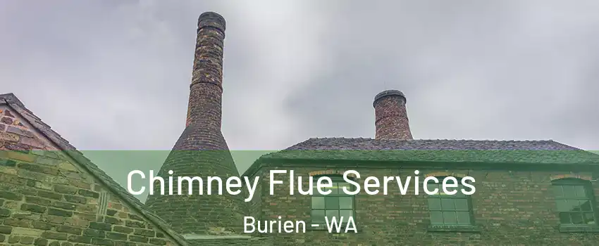  Chimney Flue Services Burien - WA