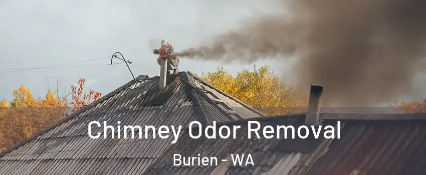  Chimney Odor Removal Burien - WA
