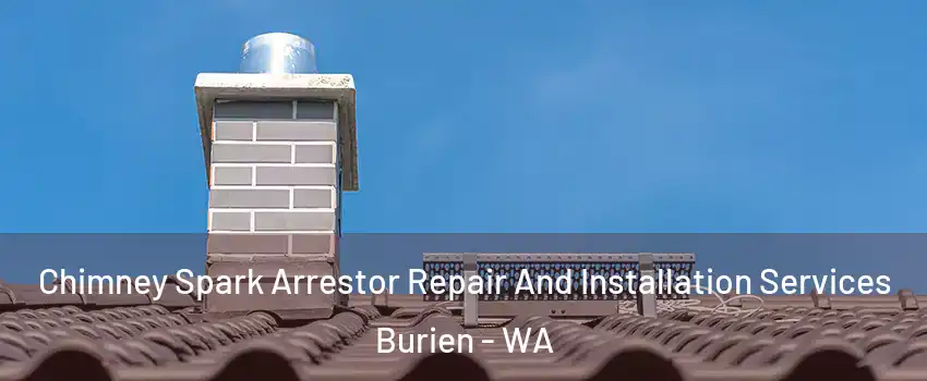  Chimney Spark Arrestor Repair And Installation Services Burien - WA