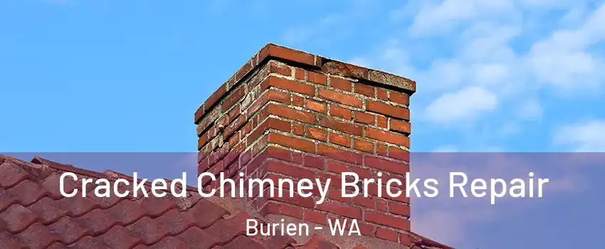  Cracked Chimney Bricks Repair Burien - WA