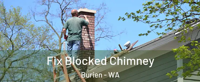  Fix Blocked Chimney Burien - WA