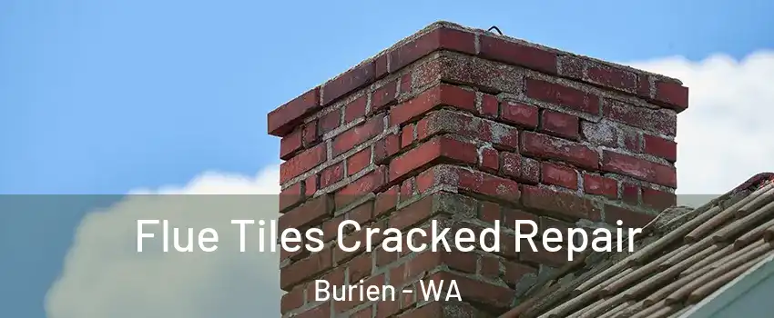  Flue Tiles Cracked Repair Burien - WA