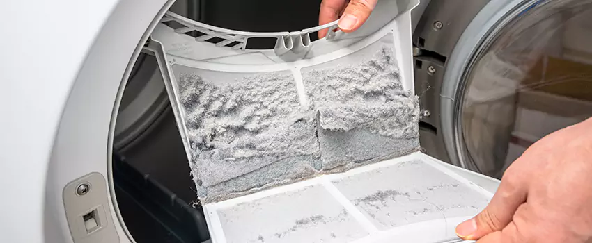 Best Dryer Lint Removal Company in Burien, Washington