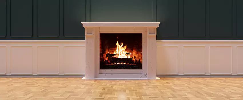 Napoleon Electric Fireplaces Inspection Service in Burien, Washington