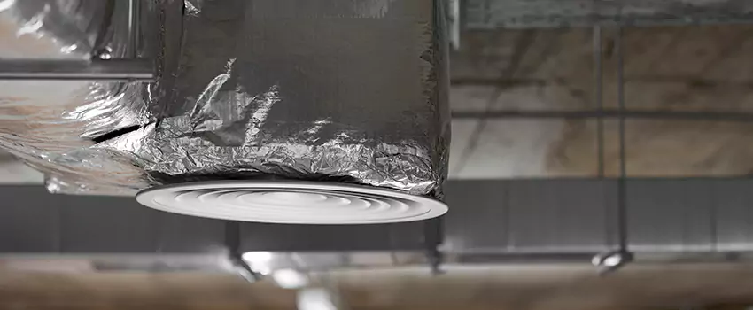 Signs of Dust Accumulation in Vents in Burien, WA