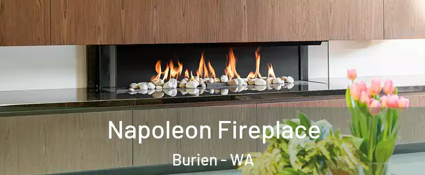  Napoleon Fireplace Burien - WA